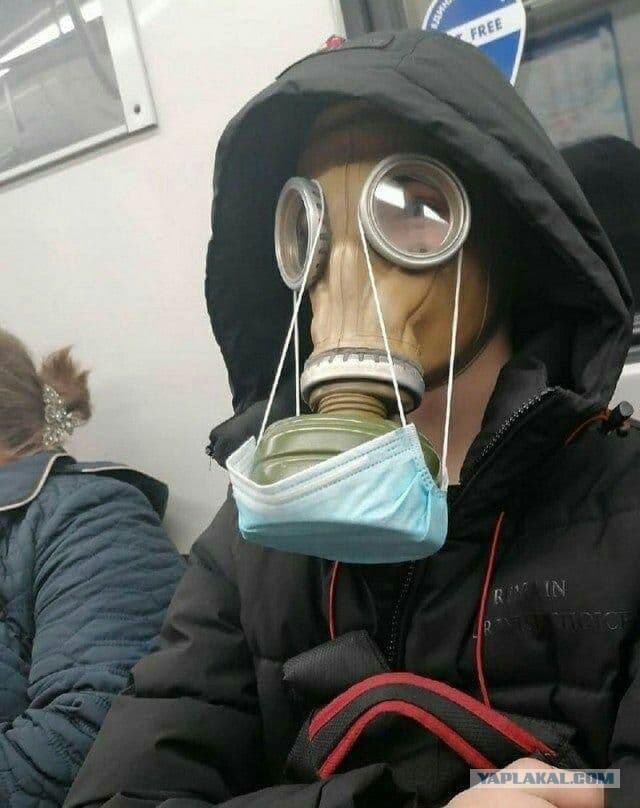 Баранный вируссологический пикчерзз