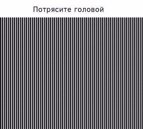Картинки и мемы для настроения 02.08.2021