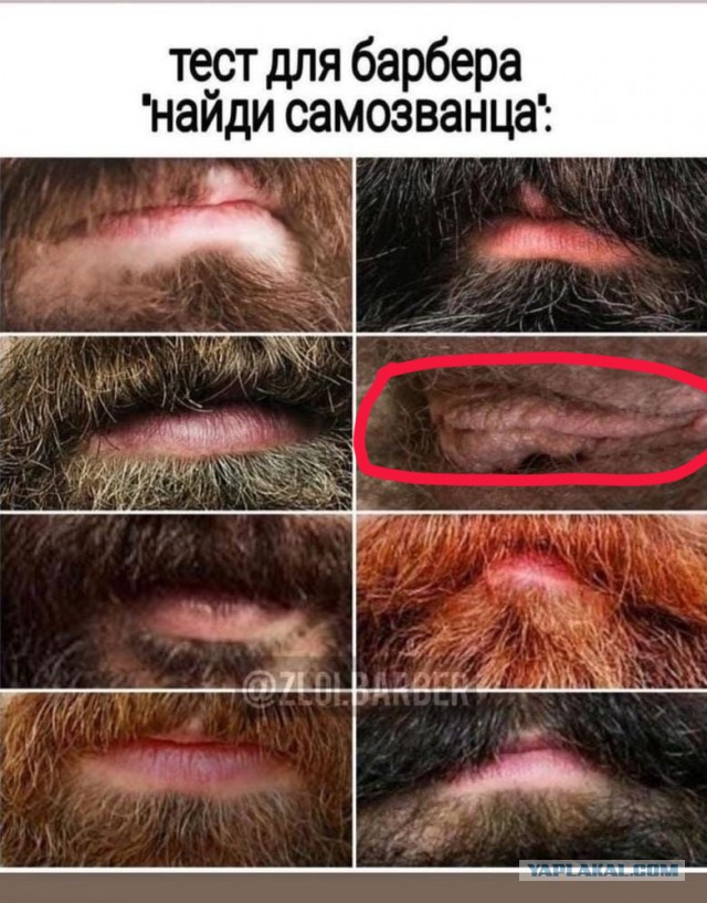 Картинки и мемы, всем прекрасных выходных