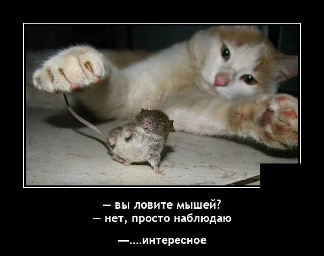 Всякие разные картинки 24.11.2021