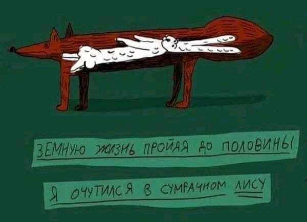 Всяческие картинки 29.12.2021