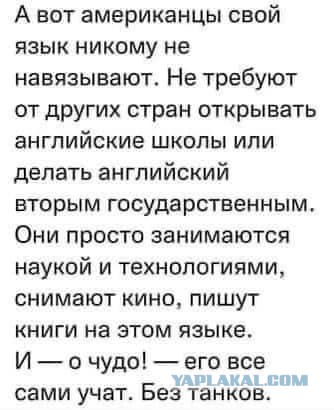 Лавров: Если НАТО направит миротворцев на Украину, это будет прямым столкновением ВС РФ и альянса