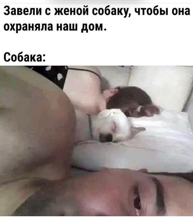 Весёлый полтишок 01.04