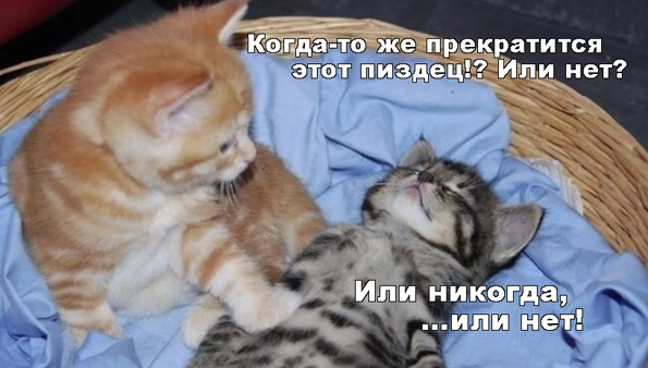Поддержка жителей Германии