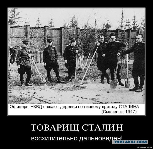 Бедная украинская овечка. Авиационная безопасность