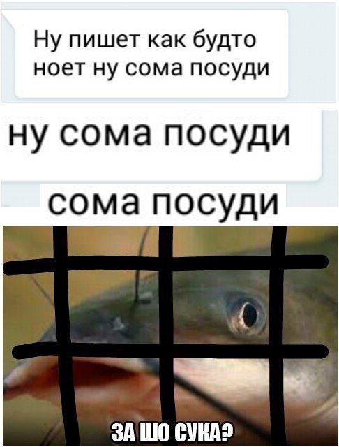 Меконгский гигантский сом: Одна из крупнейших пресноводных рыб мира весом под 300 кило!