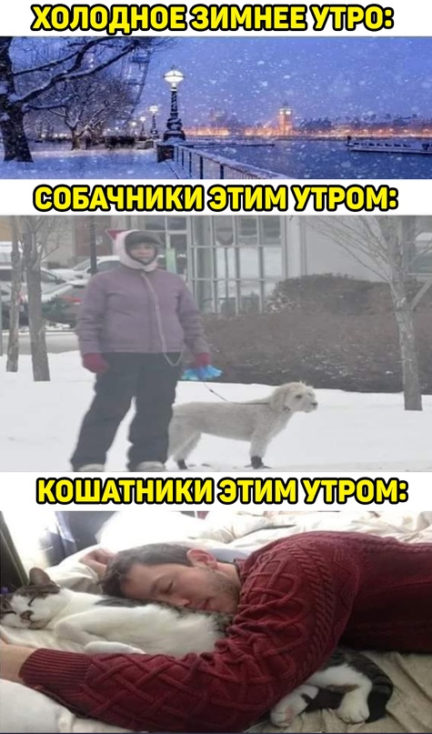 Картинки и мемы для настроения - 133