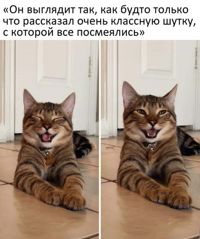 Картинки и мемы, всем хороших выходных