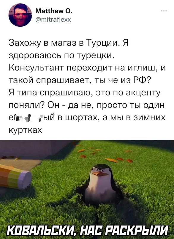 Немного картинок для настроения - 129