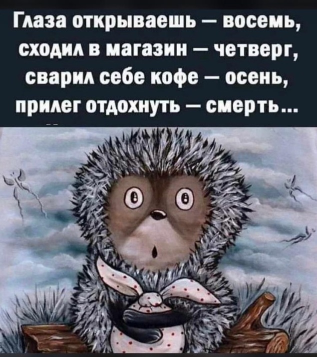 Картинки и мемы, всем хороших выходных