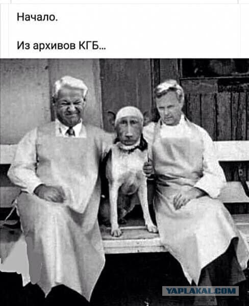 За кадром "Собачье сердце"