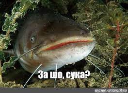 Женская верность: миф или реальность?