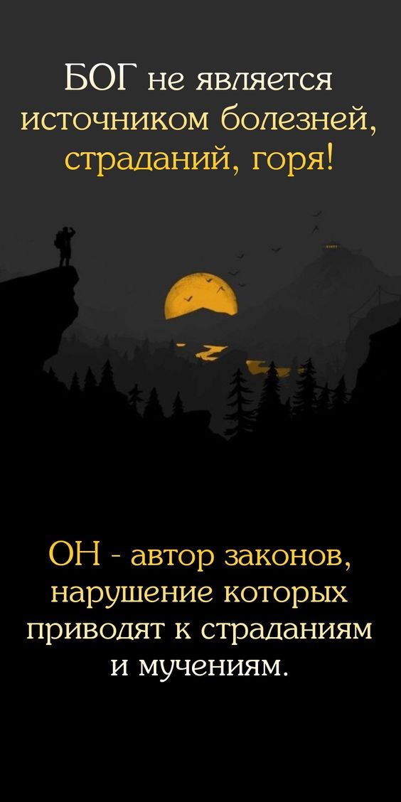 Прикольные и просто красивые картинки 05.01.2024