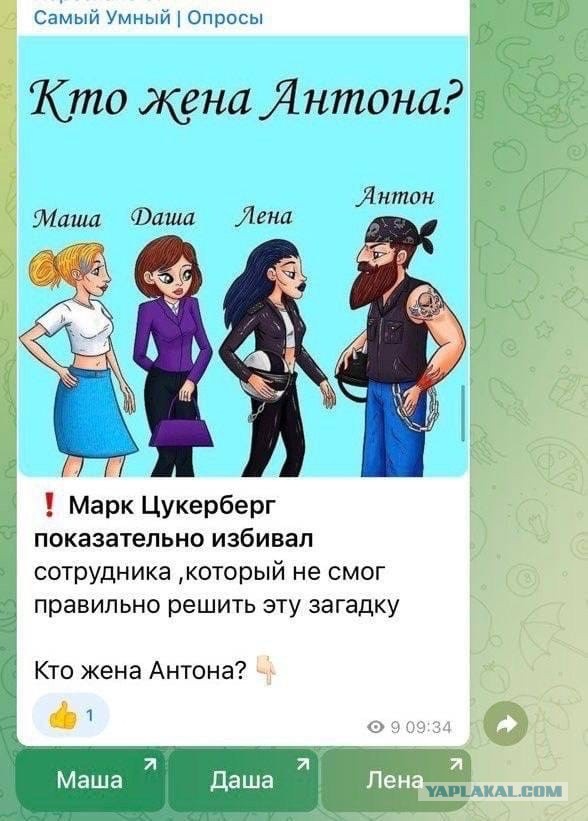 Так себе картинки 13.02.24