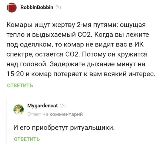 Весёлый полтишок 10.06.24