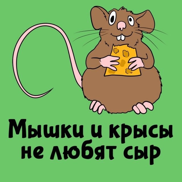 Подборка интересных фактов на все случаи жизни  07.10.24