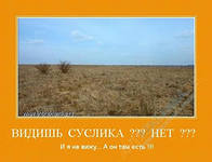 Сколково
