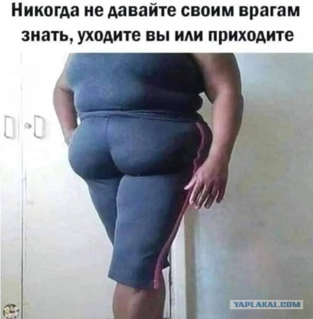 Тот самый человек, без которого свадьба не свадьба, праздник не праздник