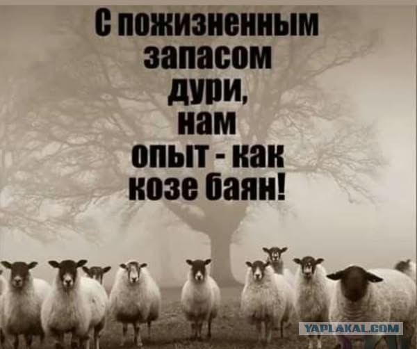 Так себе картинки 02.10.25