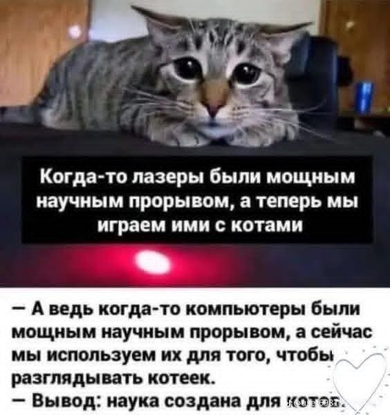 Маленькая пятница 26.11