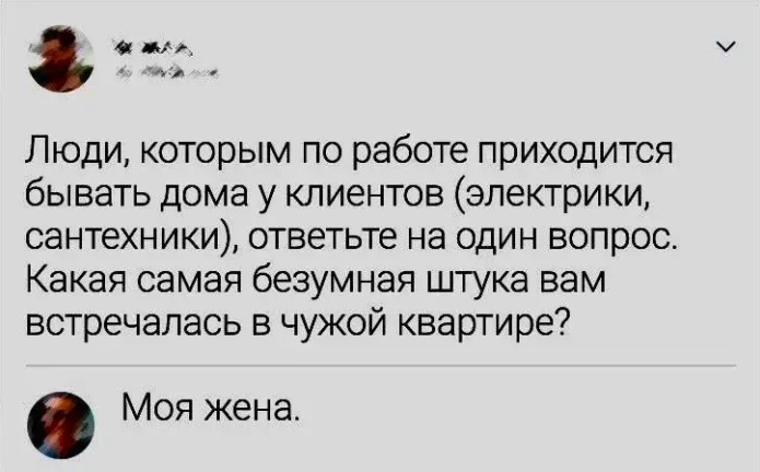 20588508.jpg
