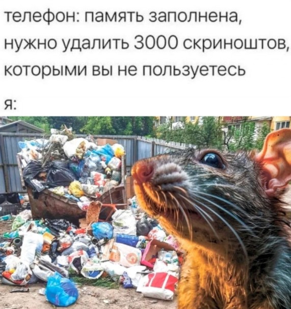 Веселое настроение в картинках (12.12.2025)