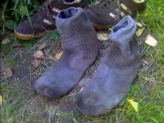 Лучшие закуски к пиву