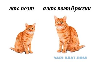Письмо Деду Морозу: лента стихотворений