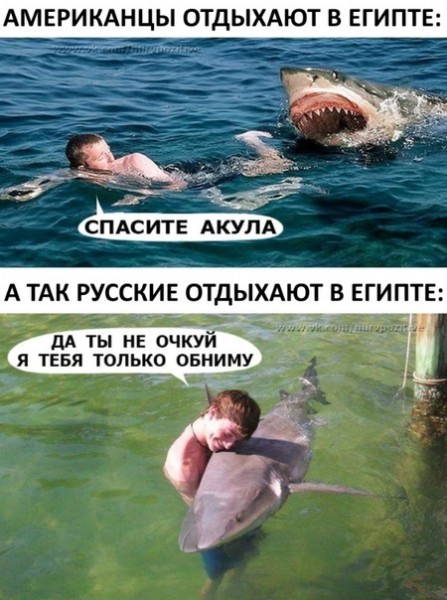Пляжи пяти отелей в Хургаде закрыли из-за акулы