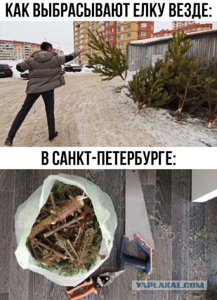 Так себе картинки 18.03.26