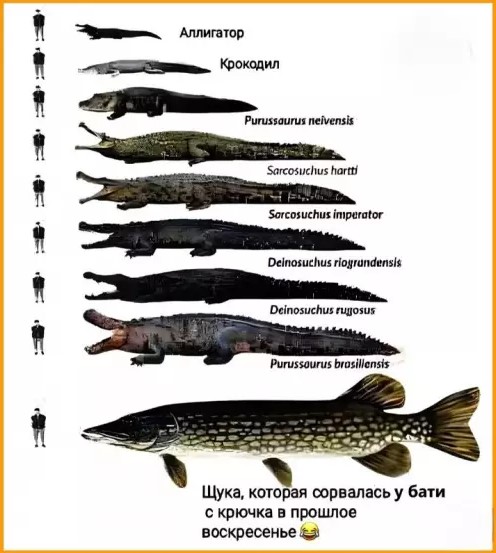 Картиночки, баянчики 23 марта