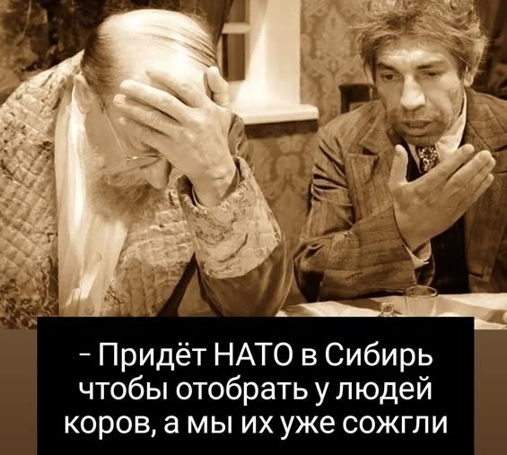 В Зауралье ввели карантин из-за бешенства