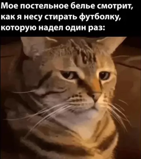 Котямбосы