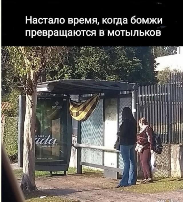 Картиночки, баянчики 16 мая