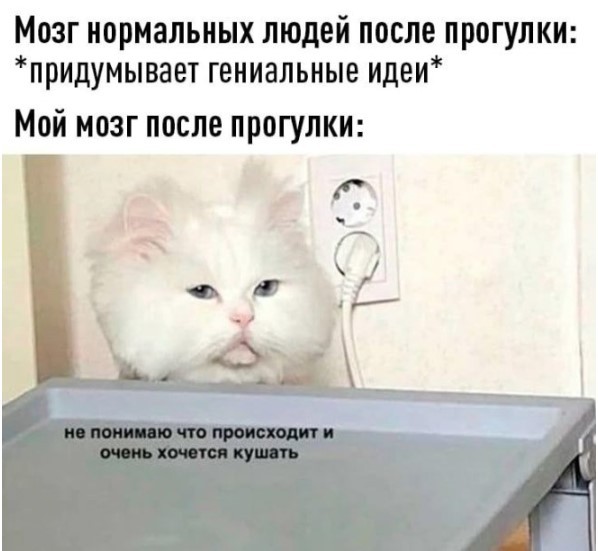 Картиночки, баянчики 14 июня