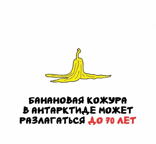 Интересные и короткие факты, на все случаи жизни