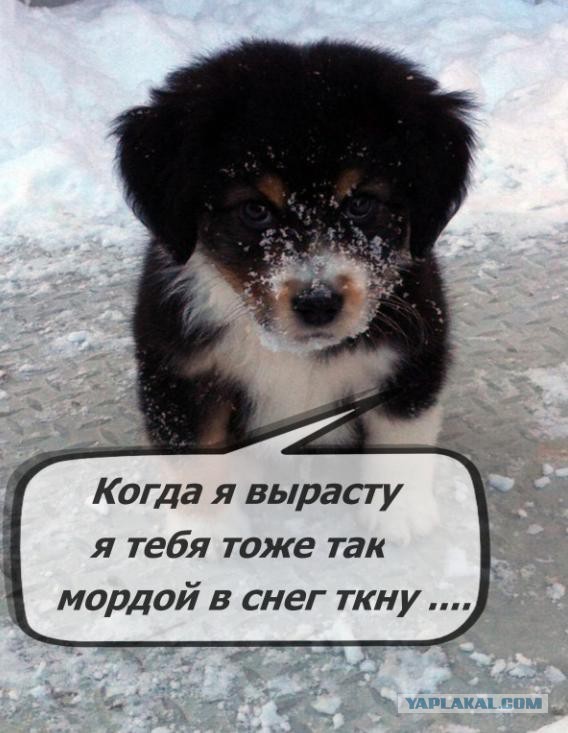 Зима на носу