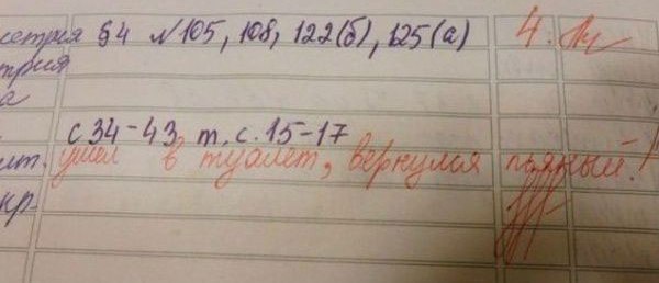 Записи в Дневниках