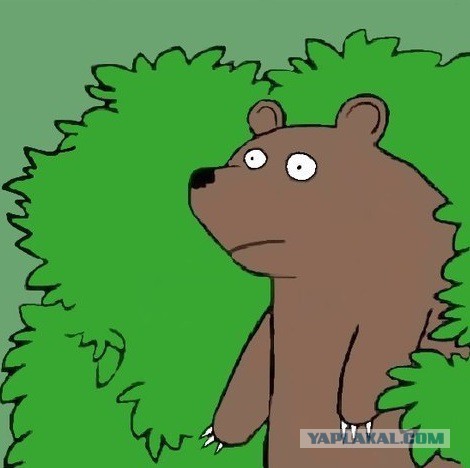 Путин приехал в Чечню