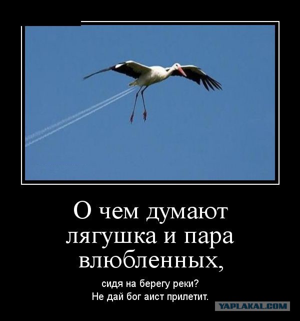 Демотиваторы.
