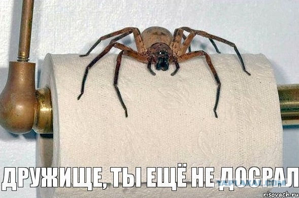 Немного позитива на пятницу.