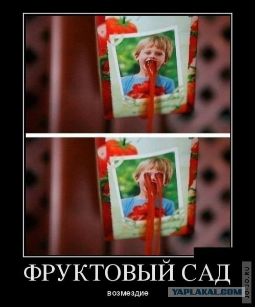 Небольшая подборка фото