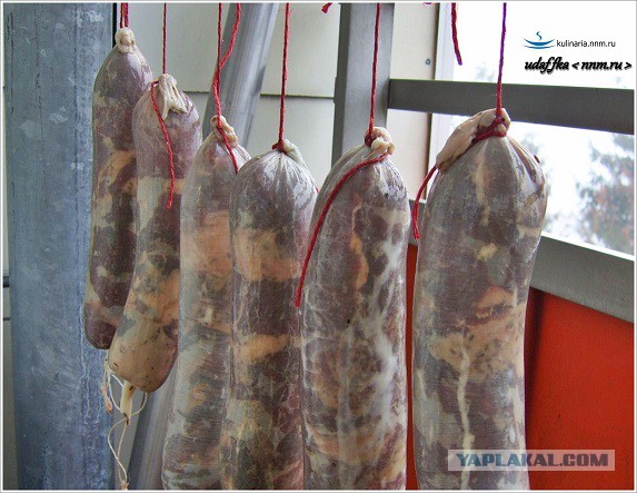 Спасение Полли