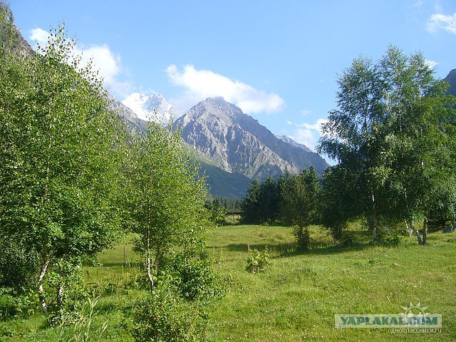 От зарплаты до зарплаты (Москва)