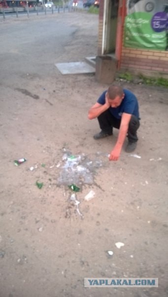 Веселые картинки