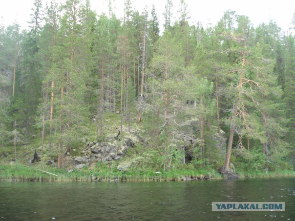 Мурманская область