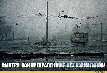 Тамбовский волк тебе товарищ...
