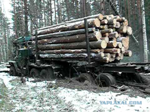 Увязшие в грязи