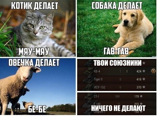 Wargaming 20
