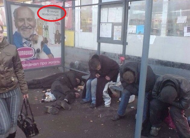 Ужасы и приколы из соцсетей 18+